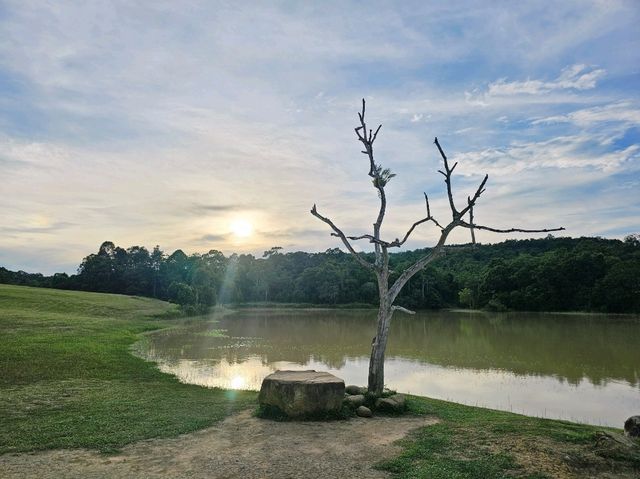 อุทยานแห่งชาติเขาใหญ่ ⛰️