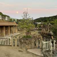 夜遊東山動物園，專屬夜晚的野性與浪漫