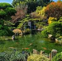 【彰化】成美文化園日式庭園，和諧寧靜，#8月好去處2024