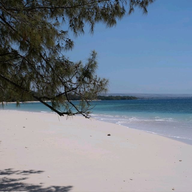 【スンバ島】インドネシアの島で絶景のビーチ