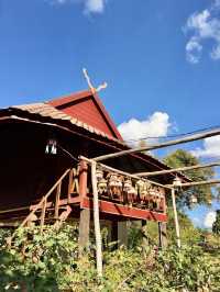 📍บ้านพิพิธภัณฑ์ไทดำ บ้านนาป่าหนาด 