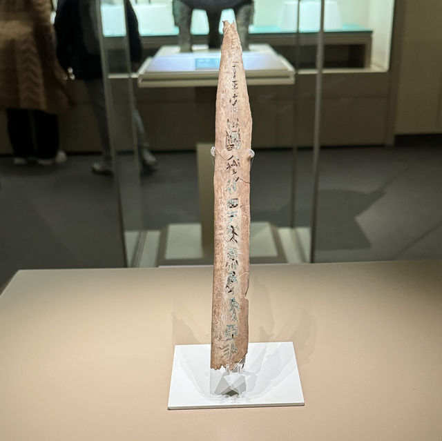 From Borneo to Anyang: A 3,000-Kilometer Journey to explore 3000 years history of Shang Dynasty 