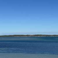 Unveiling the West Coast National Park’s Best-Kept Secret