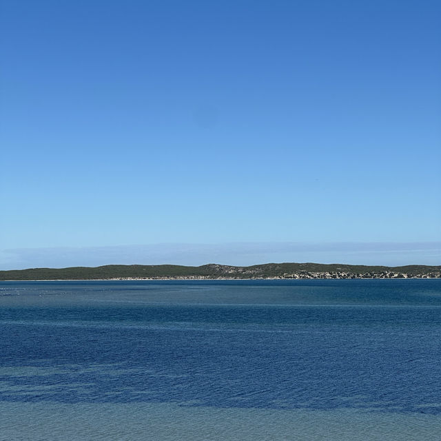 Unveiling the West Coast National Park’s Best-Kept Secret