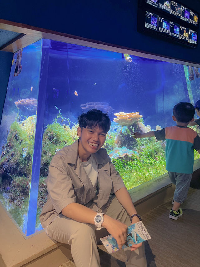 Port of Nagoya Public Aquarium 🪼🐬🚢