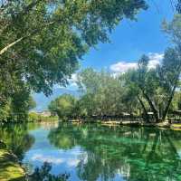Jacks Lake：湖光山色淨土，享受大自然之美