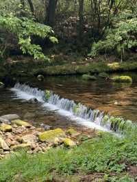 【秋田(にかほ市)】平成の滝百名の1つ！大迫力の鳥海山の湧水の滝