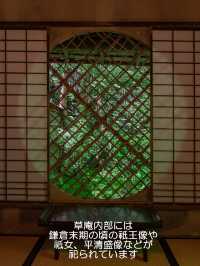美しい苔と青もみじ癒やされたい！そんな時は【祇王寺】