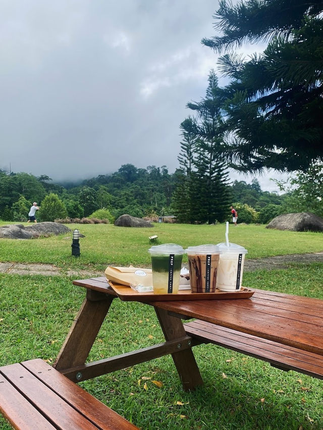  📍🌿 Prep Coffee Camp 