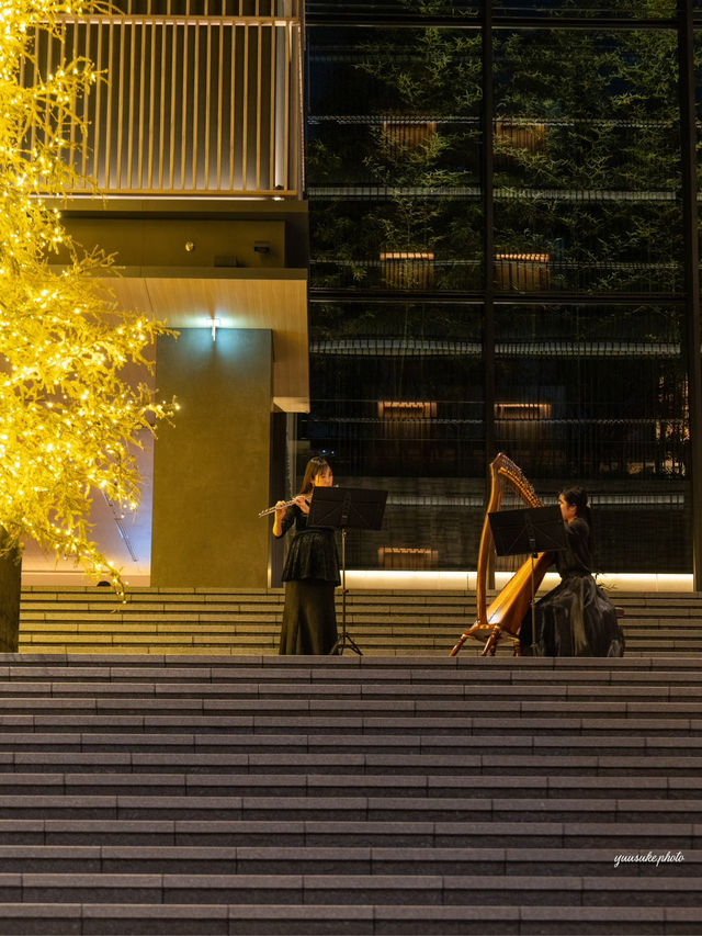 知る人ぞ知る🌟🪄ホテル大階段のプロジェクションマッピング 18時から23時頃まで毎日開催中。体験型