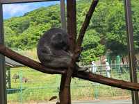 【鹿児島市平川動物公園】壮大な敷地で色んな動物を見に行こう🐨