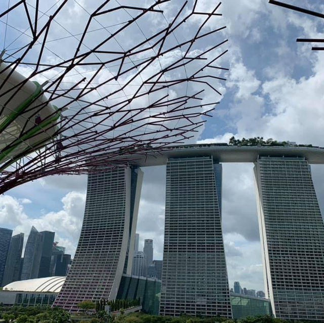 濱海灣花園天空步道-超級樹