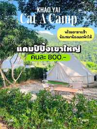 ⛺️🌿เขาใหญ่งบเบาๆแค่ 800.-/คน