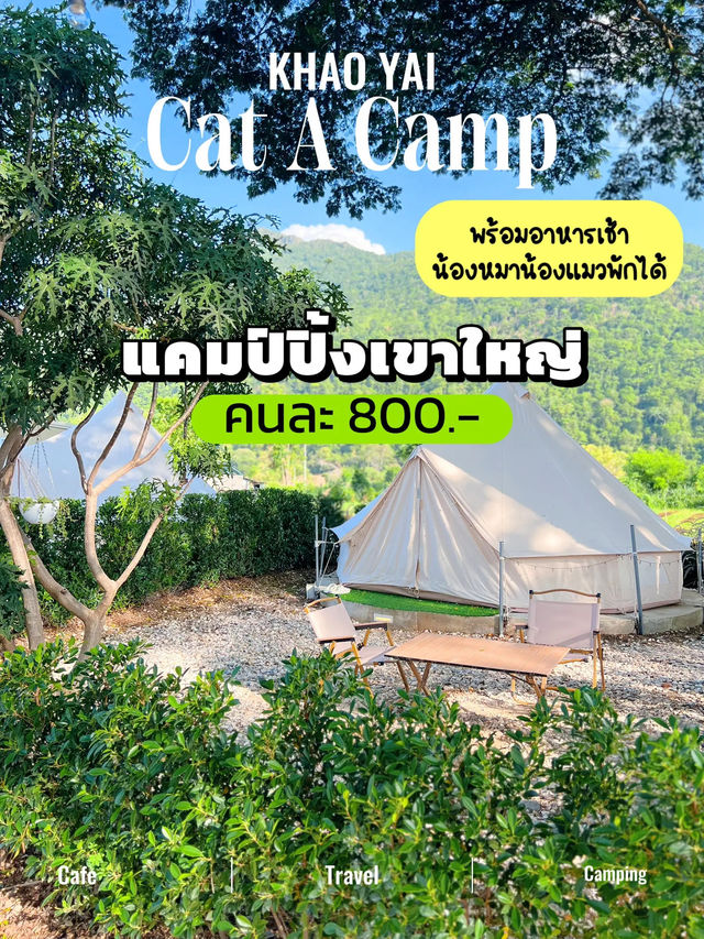 ⛺️🌿เขาใหญ่งบเบาๆแค่ 800.-/คน