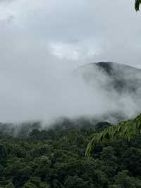ที่พักเมืองคอง | เชียงใหม่ 🏡⛰️🌧️🌿