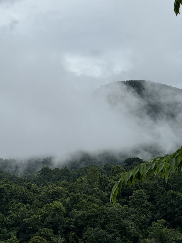 ที่พักเมืองคอง | เชียงใหม่ 🏡⛰️🌧️🌿