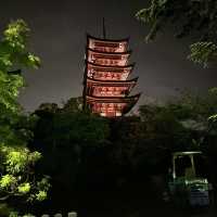 MIYAJIMA @ Night