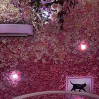 💐🌹プーケットで一番映えるお店🌷🌸🌼