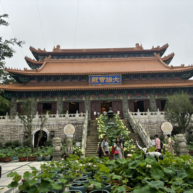 믿고 떠나는 홍콩 여행🇭🇰