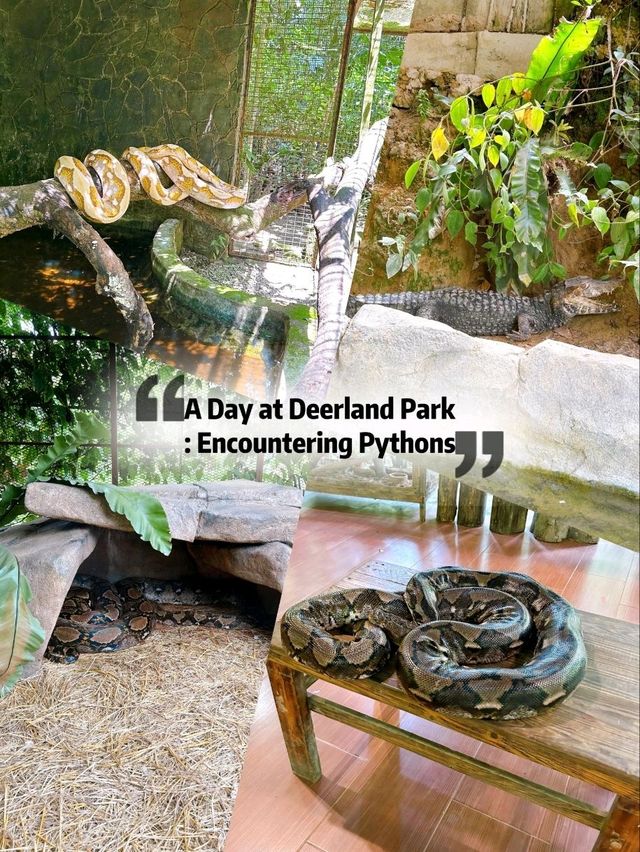 A Day at Deerland Park: Encountering Pythons and Other Animals