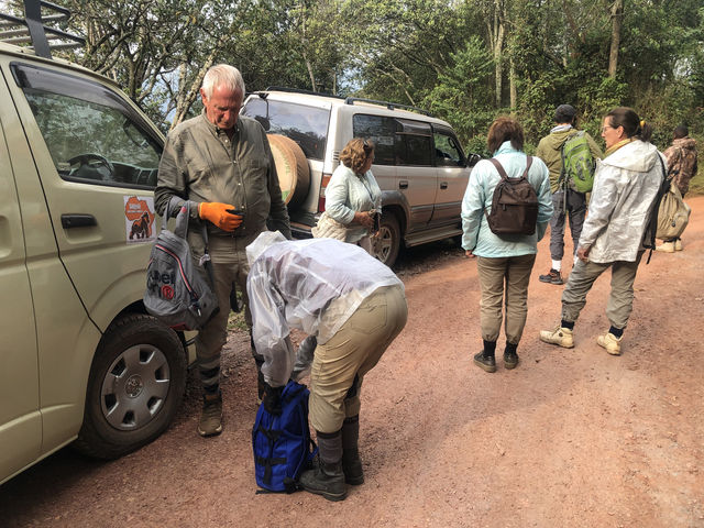 3 -Day Gorilla Trekking Tour  