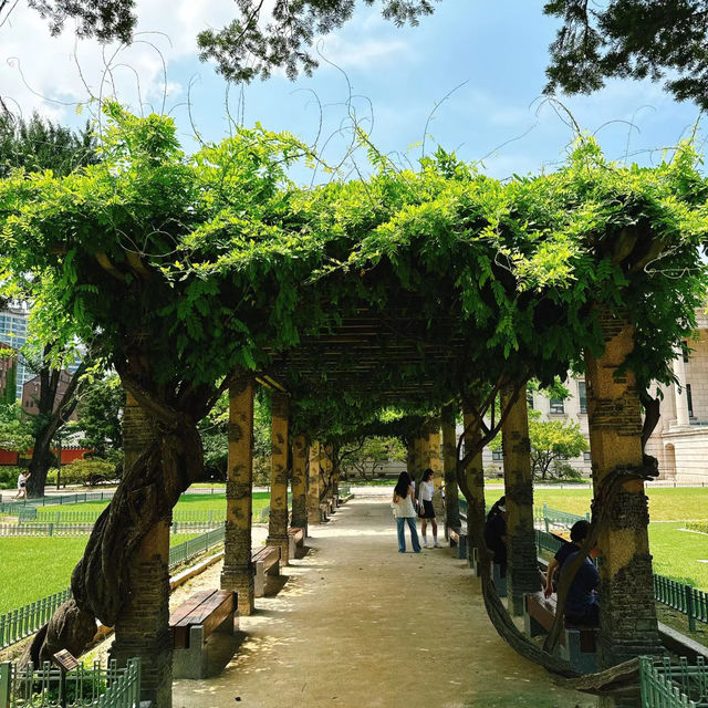 🌲 木場公園🌲城市綠洲🌲