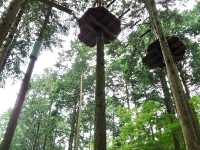 【大分】別府の大自然を満喫できるオアシススポット