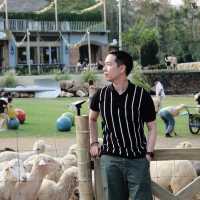 The Scenery Vintage Farm