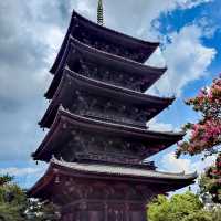 ⛩️🌿🏞️常勝寺-巧奪天工⛩️🌿🏞️