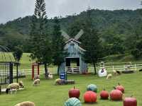🌳Royal Good View Resort & Farm