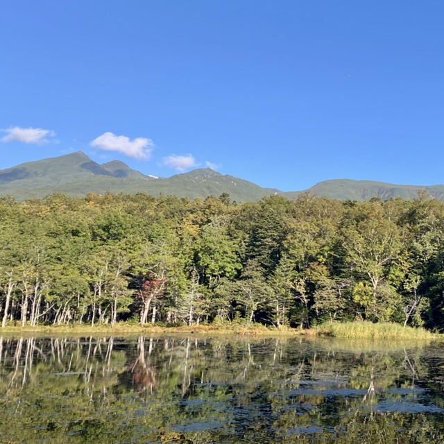 【北海道】熊にも会えるかも？知床の大自然を満喫できる公園とは