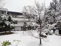 日本🇯🇵岐阜高山市 - 穗高莊山之飯店 跟著我ㄧ起去泡湯吧！