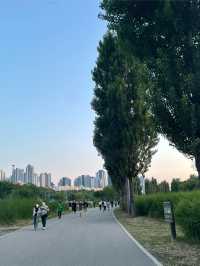 【韓国/漢江】光と音の噴水ショー🌈