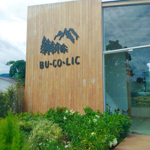 Bucolic เขาใหญ่ คาเฟ่บรรยากาศดี