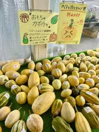 🇯🇵たてしな自由農園