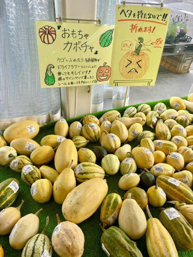 🇯🇵たてしな自由農園
