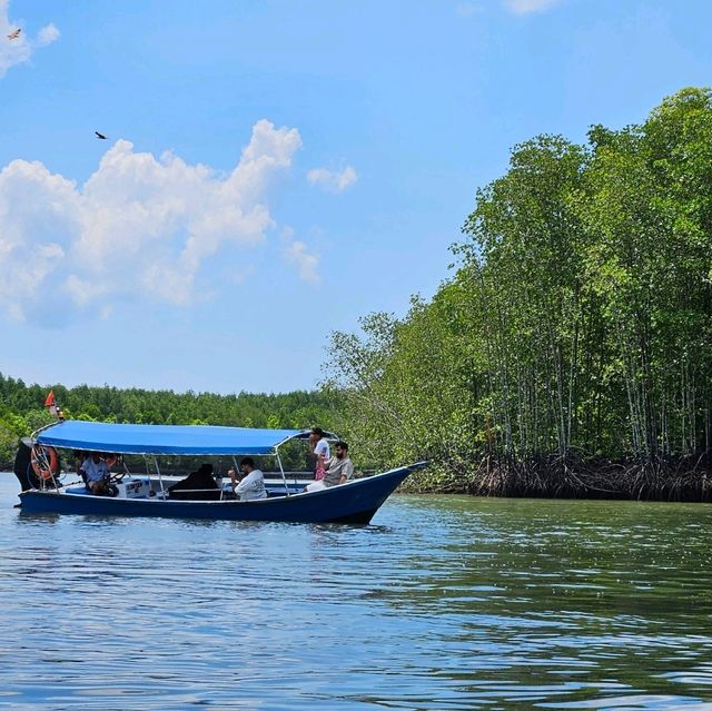 A wander to nature, Mangrove River at Kilim Geoforest Park