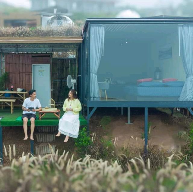 ชาเบย์ร่า แคมป์ปิ้ง ภูทับเบิก