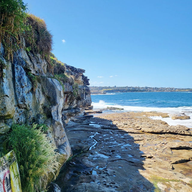 Ivo Rowe Rock Pool