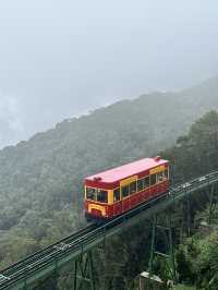 Day2 Danang Bana hills พิกัดเที่ยวดานัง2024 อัพเดท