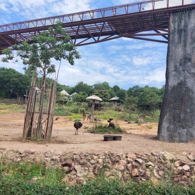 สะพานลายยีราฟที่ยาวที่สุดในไทย