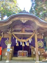 【熊本】⛩️ 日本三大下り宮のひとつ、阿蘇随一のパワースポット ⛩️ 