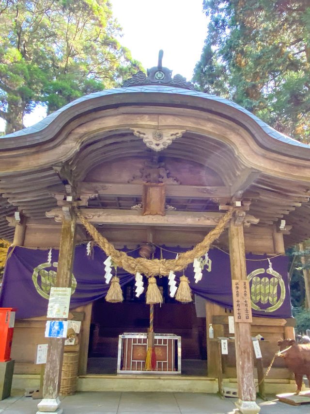 【熊本】⛩️ 日本三大下り宮のひとつ、阿蘇随一のパワースポット ⛩️ 
