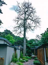 ที่พักสไตล์ญี่ปุ่น ใกล้กรุงเทพ สระบุรี แก่งคอย