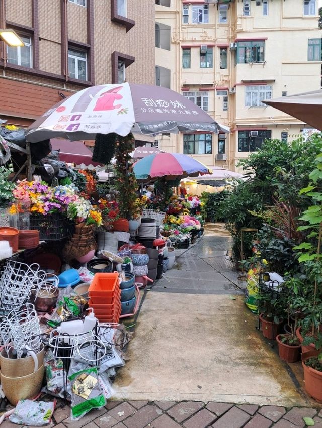 【Flower Market Rd:香港】綺麗なお花がたくさん売られている通り✨