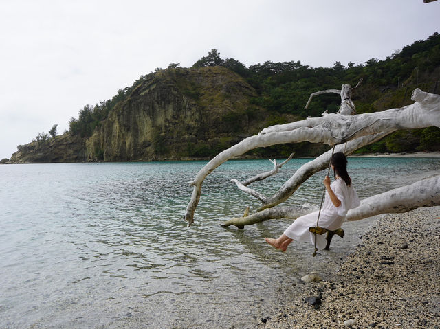 小笠原諸島｜日本のガラパゴス、世界遺産の島・父島
