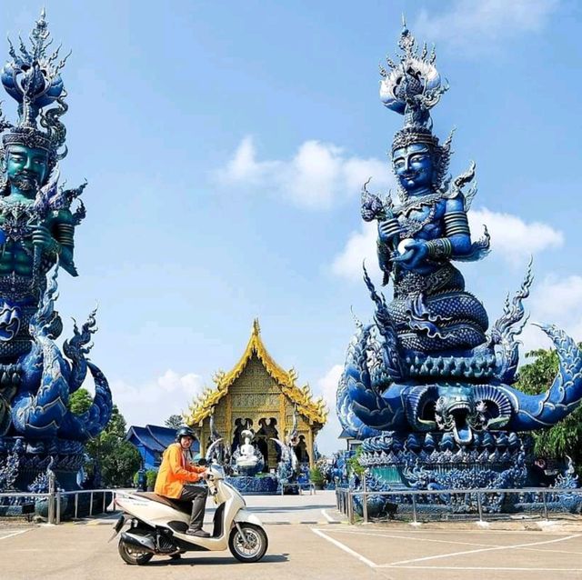 วัดร่องเสือเต้น |  Blue Temple 