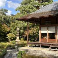聖福寺：秋意盎然🍂