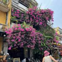 ฮอยอัน เวียดนาม🌸🌺