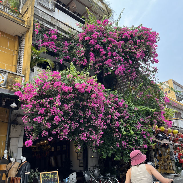 ฮอยอัน เวียดนาม🌸🌺